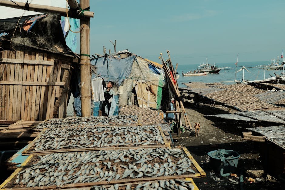 bsp inflation watch in the Philippines - Photo by Mace Pacardo on Pexels