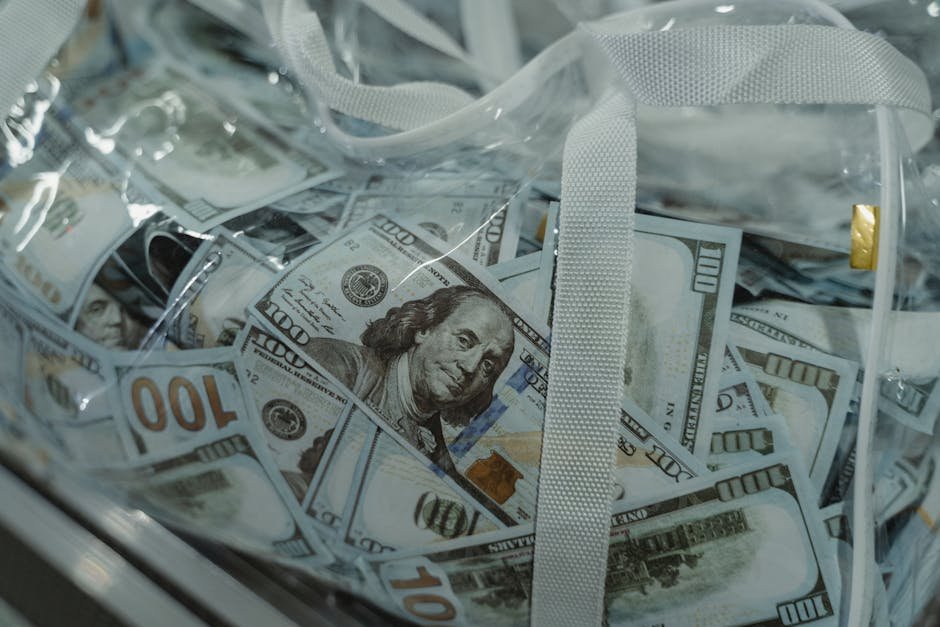 bsp monetary policy stance in the Philippines - Photo by Tima Miroshnichenko on Pexels